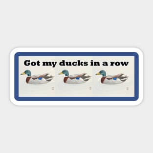 Got my ducks in a row Sticker